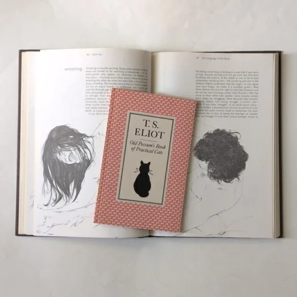 More Joy of Sex - - Picture 8 of 16